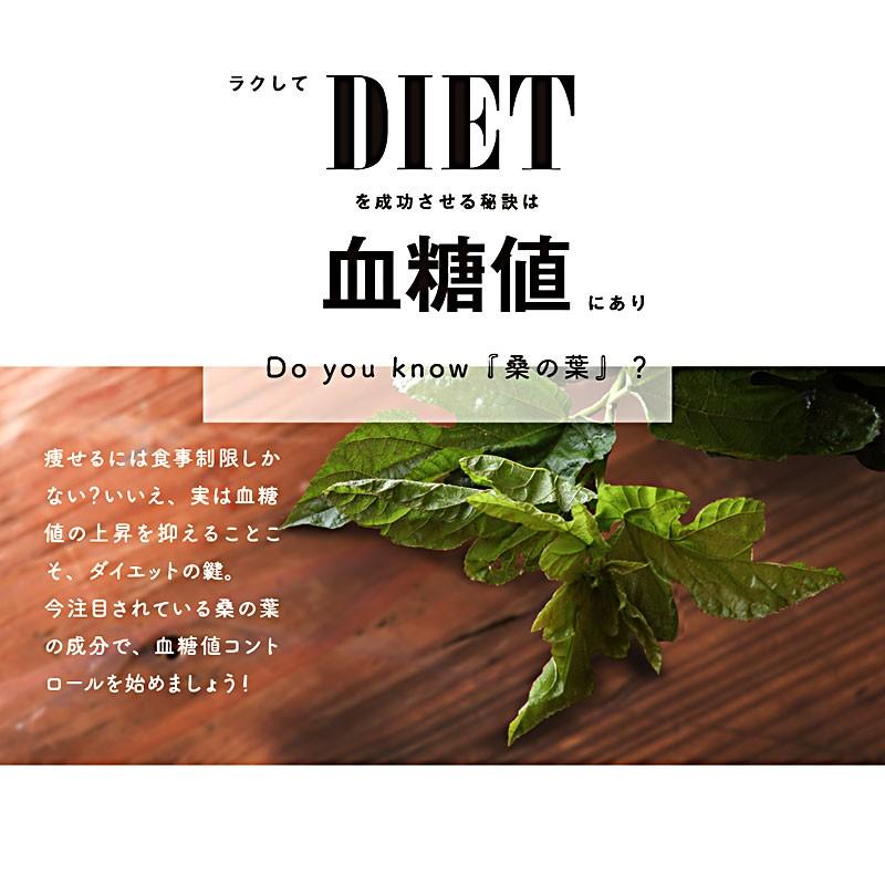 デリッシュオーガニック マルベリーリーフ（Delish Organics Mulberry leaf）顆粒タイプ （60包） 送料無料 有機JAS認定 国産桑葉100%使用 青汁 アトラス