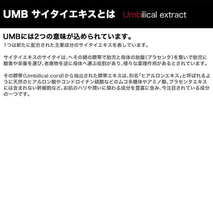 スパトリートメントUMB（アンビ） ストレッチiシート Spa Treatment STRETCH i SHEET（60枚入・110ml）正規品 正品 送料無料